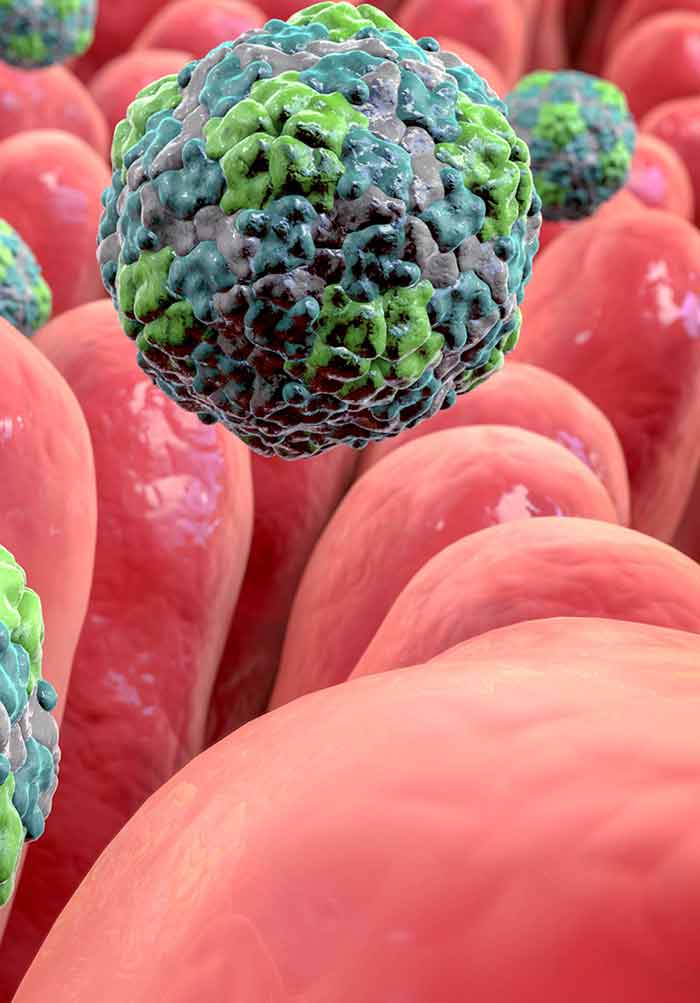 Onanizm uchun jinsiy oyinchoqlar turlari